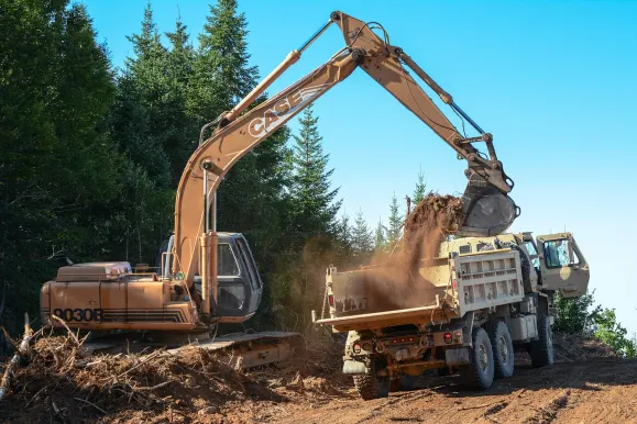 Kazino Estrella Pagalba